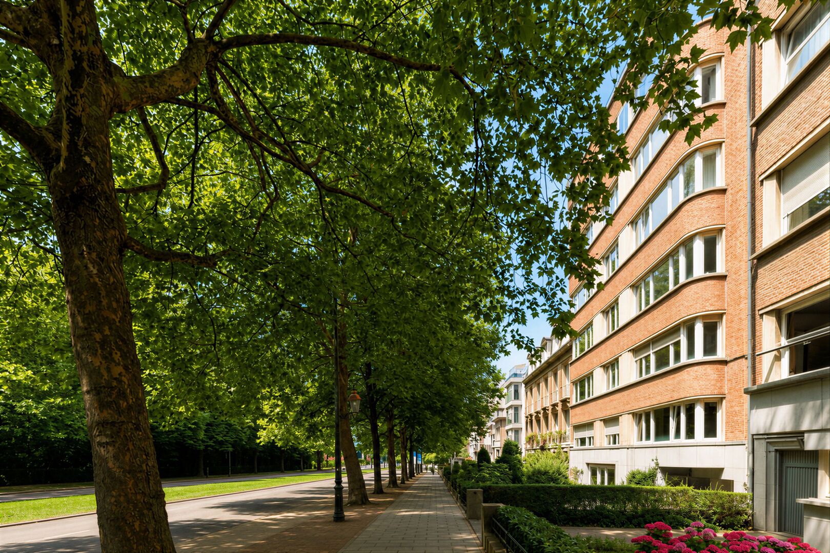 Avenue Franklin Roosevelt in Brussels: the story of an exceptional avenue